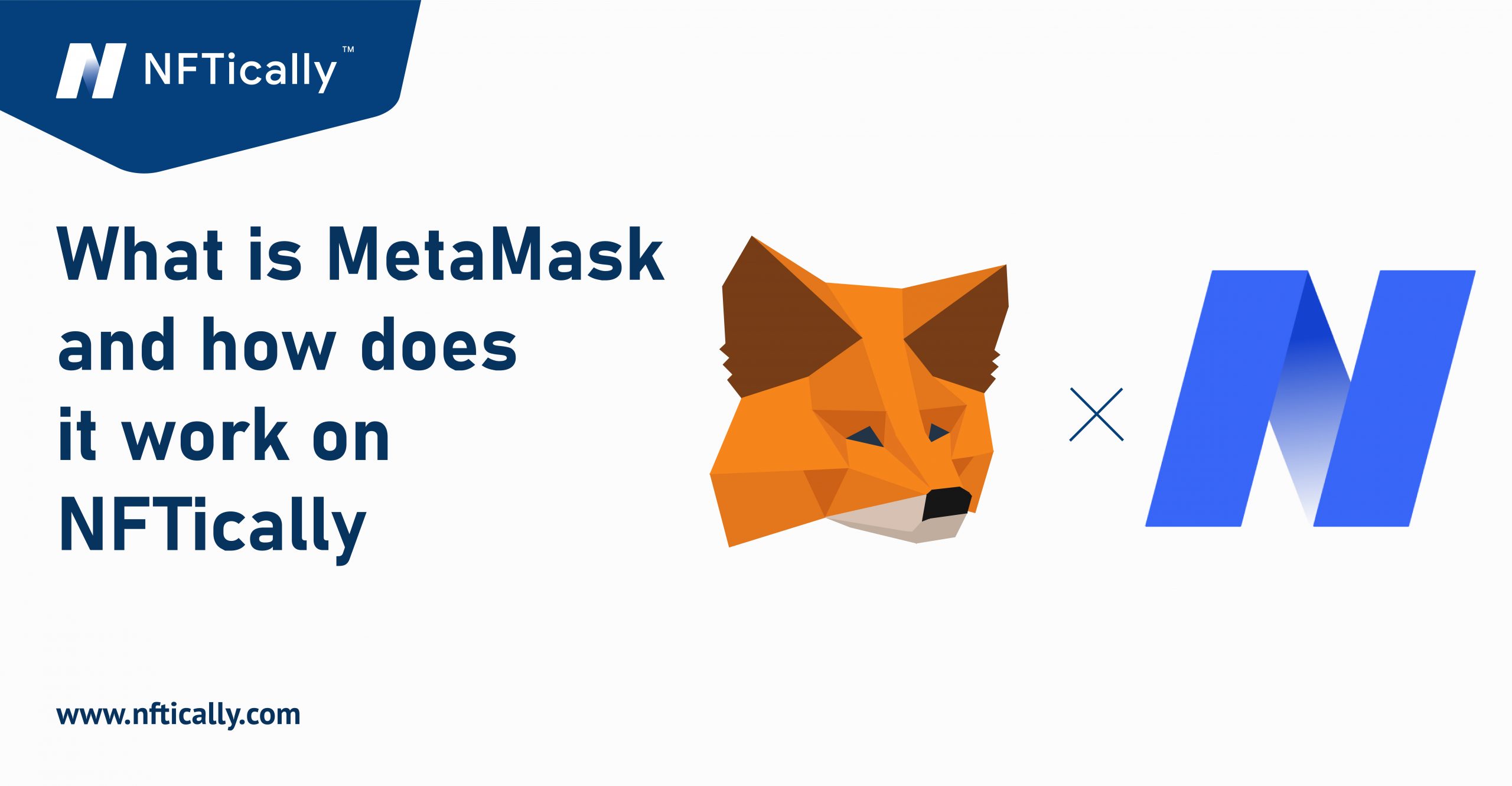 MetaMask NFTically Guide"